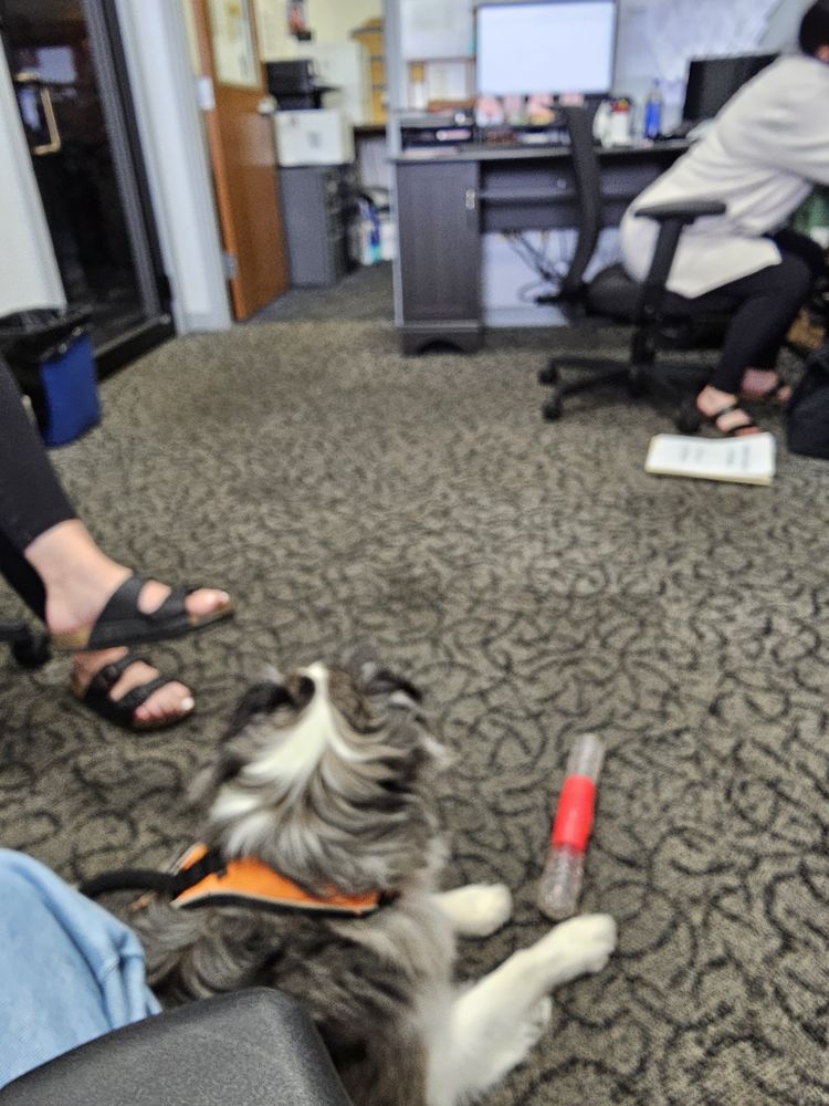 Zeigler Subaru of Fort Wayne