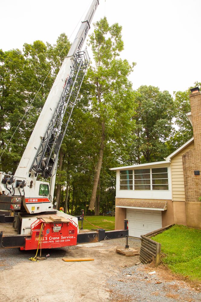 Aspen Tree Service