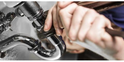 image of business Frank Niesen Company