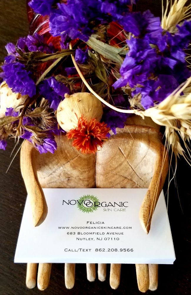 Novo Organic Skin Care Logo