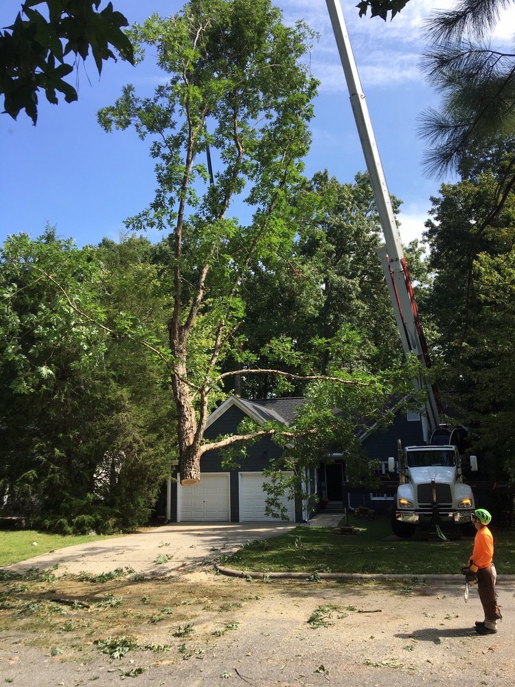 Allen Tree Service
