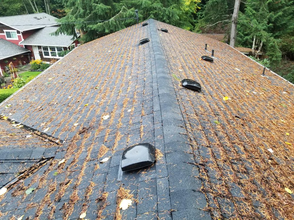 Olympic Roof Cleaning