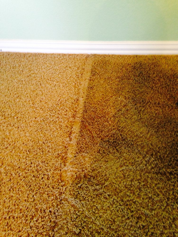 Wright Brothers Carpet Care