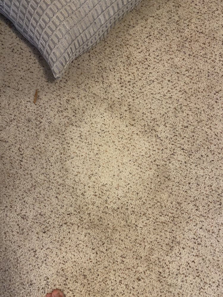 Chem-Dry of Chapel Hill-Durham