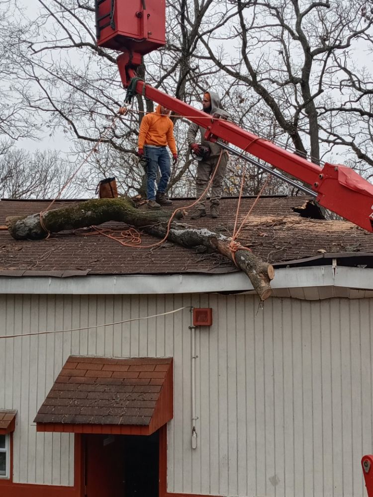 N.J.V Tree Service and Landscaping