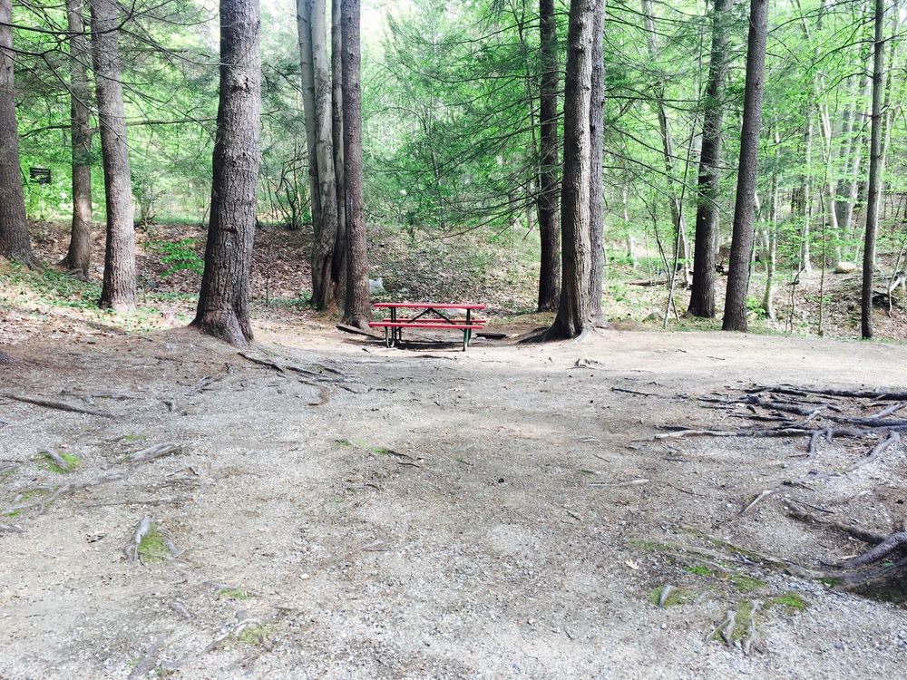 Dixon’s Campground 15 Reviews Campgrounds 740 US Rt 1, Cape