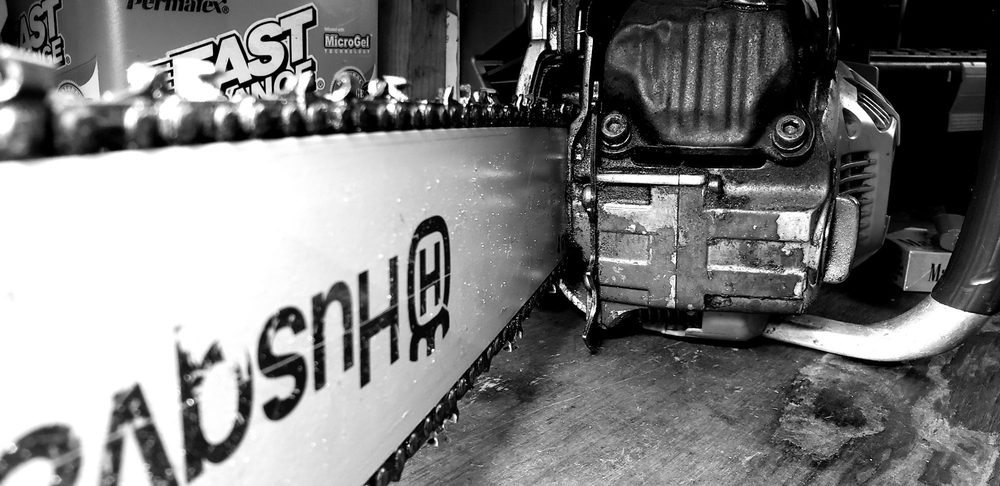 Piedmont Tree Experts