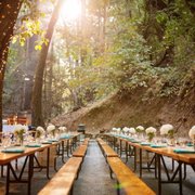 Saratoga Springs 281 Photos 182 Reviews Venues Event Es Dinner Tables At Cathedral Photo Of Saratoga Springs Ca United States Grove
