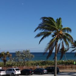 Dover House Inium 33 Photos Resorts 110 S Ocean Blvd Photo Of Dover House Inium Delray Beach Fl United States