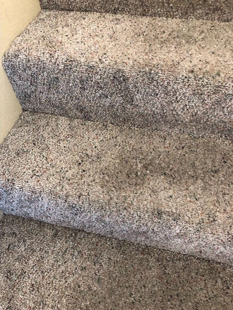 Mission Floor Care