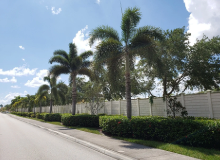 Nunez Lawn Care & Landscaping