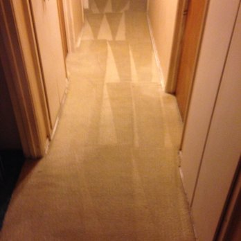 Los Angeles Carpet Cleaning 254 Photos 421 Reviews Photo Of Los Angeles Carpet Cleaning Van Nuys Ca United States