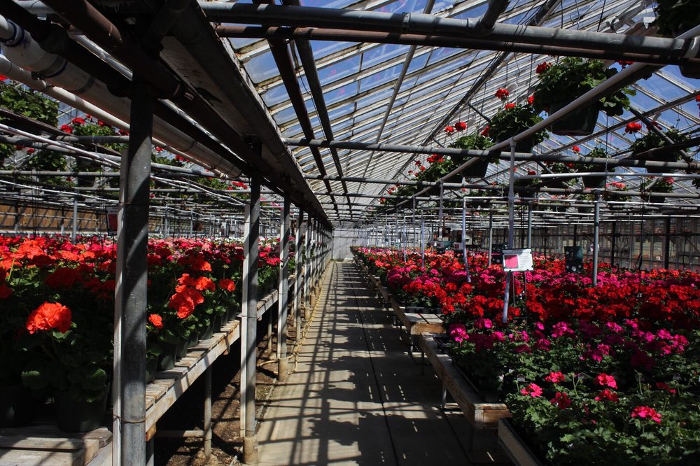 AJ Rahn Greenhouses 29 Photos & 19 Reviews Nurseries & Gardening