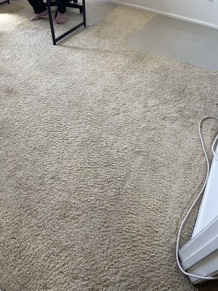 Coastal Carpet Cleaning