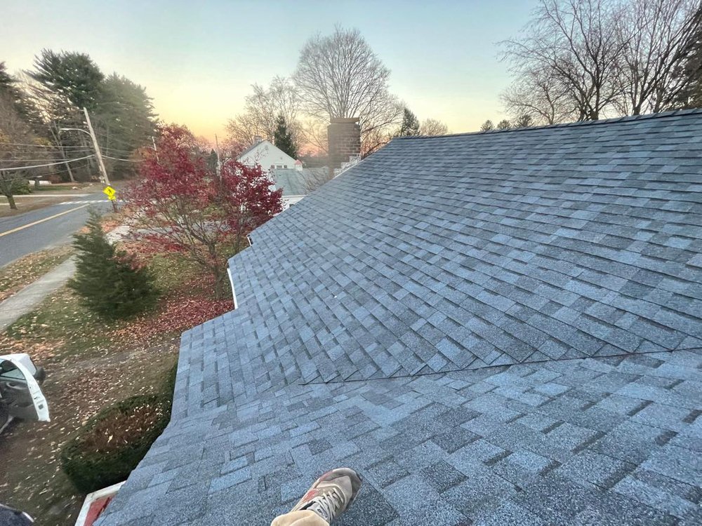 image of business Rain Day Roofing