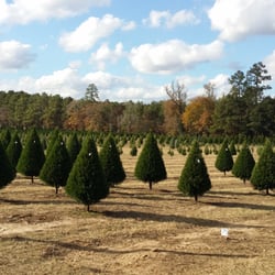 photo of grant christmas tree farm syrup mill elizabeth la united states - Christmas Tree Farm Louisiana photo of grant christmas tree farm syrup mill elizabeth la united states - Christmas Tree Farm Louisiana