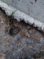 Elegant Concrete Tools & Materials