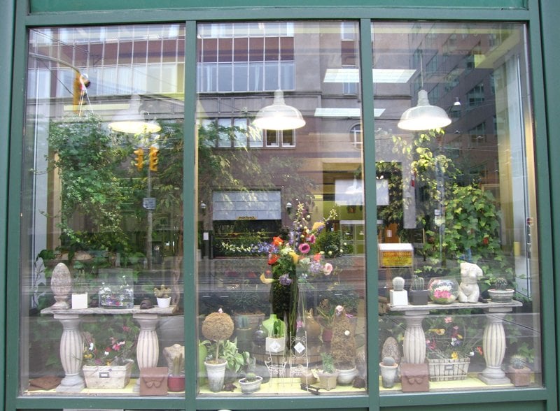 Ginger Flower Studio
