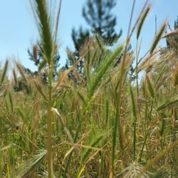 Photo of Parc de Gerland - Lyon, France. Un grand bol de nature en pleine ville. Des nouveaux jeux pour enfants et de l'espace.  Un très bon parc