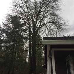 Graham Wa Weather >> Top Notch Tree Service Tree Services 14111 234th St E Graham Graham Wa Weather >> Top Notch Tree Service Tree Services 14111 234th St E Graham
