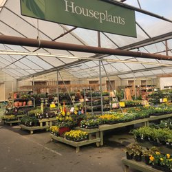 Pike Nurseries 19 Photos 14 Reviews Gardening Photo Of Pike Nurseries Roswell Ga United States