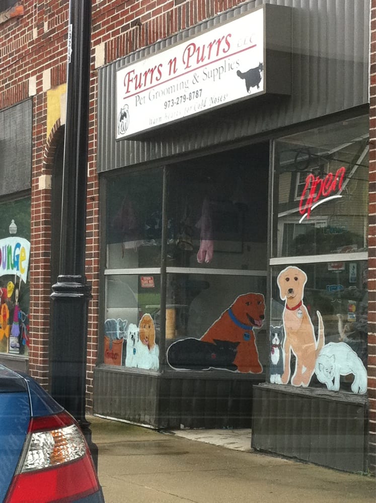 Furrs N Purrs 37 Photos & 27 Reviews Pet Groomers 159 Valley Rd
