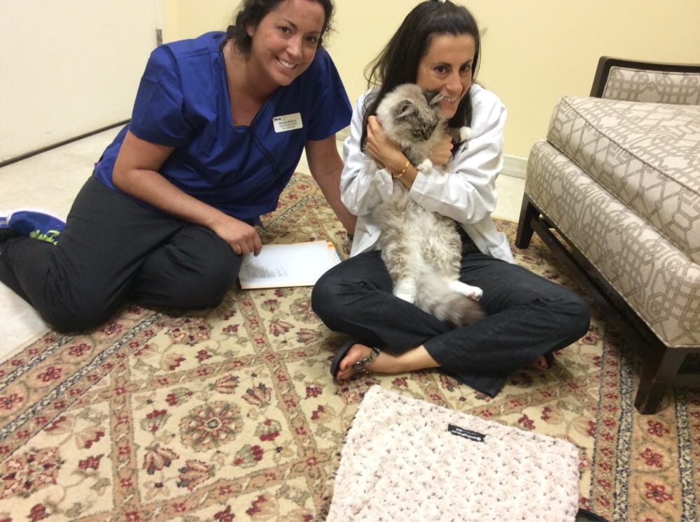 VCA SouthPaws Veterinary Specialists & Emergency Center