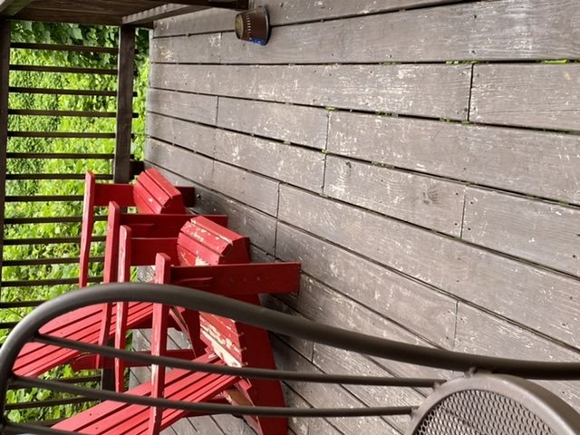 Lion Painting and Drywall Services