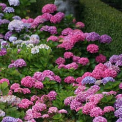 Turftenders Landscape Services Landscaping 2610 Rowland Rd Photo Of Turftenders Landscape Services Raleigh Nc United States