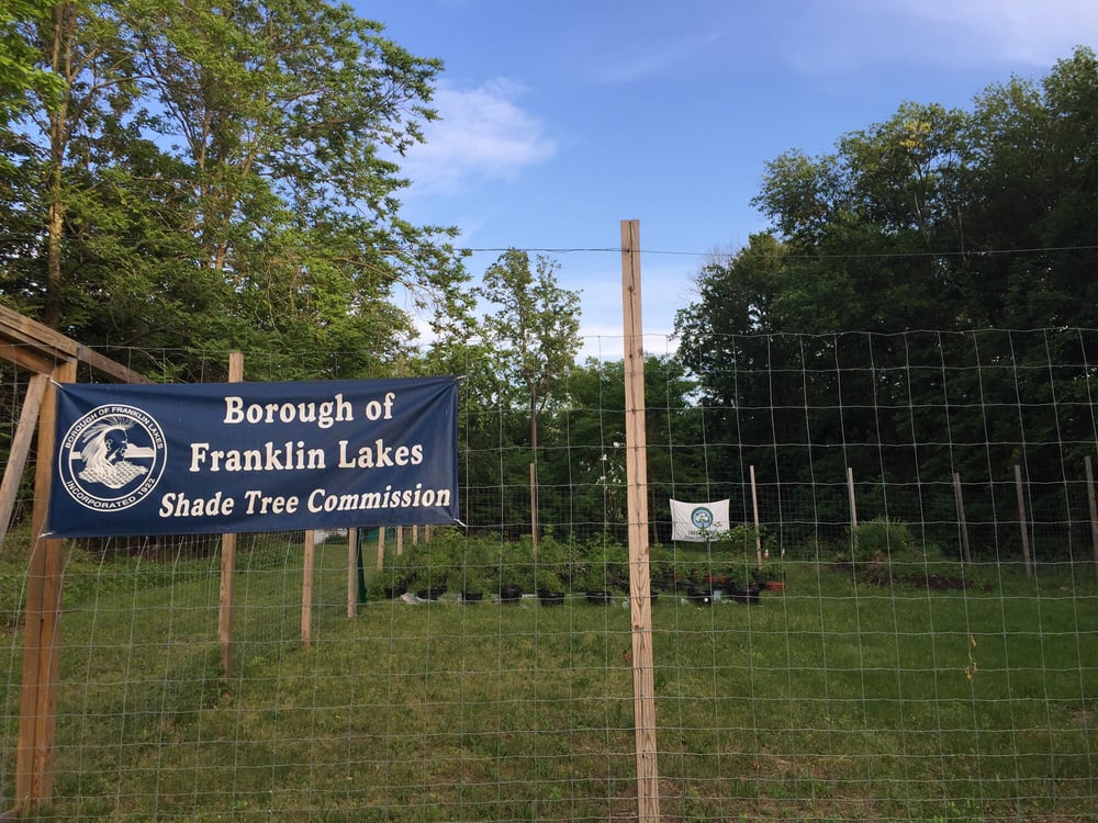 Franklin Lakes Nature Preserve 36 Photos Hiking North Haledon, NJ