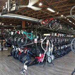 greenfield bicycle sports center