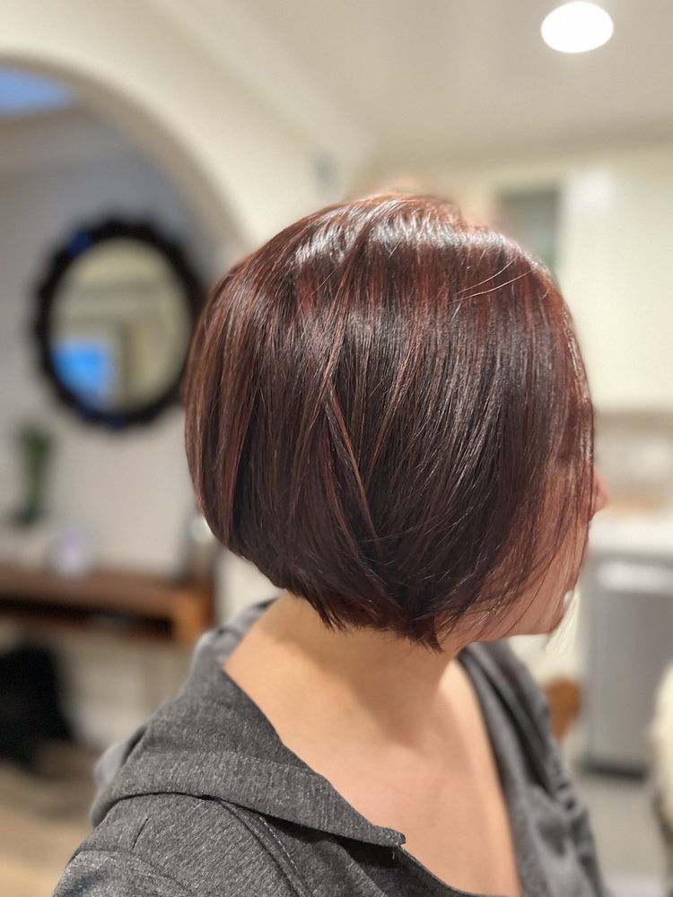 The Expert Cut