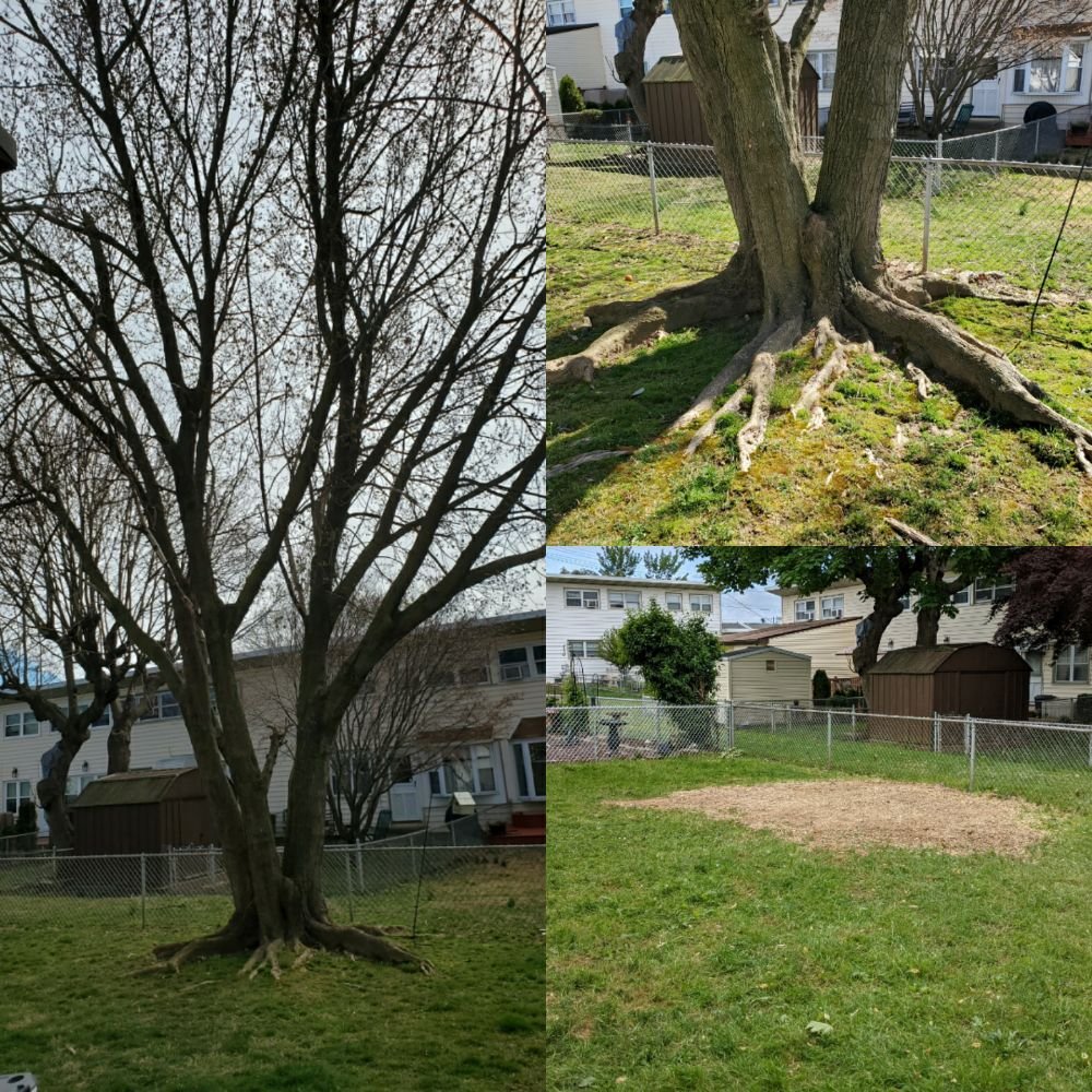 Crown Tree Arborcare