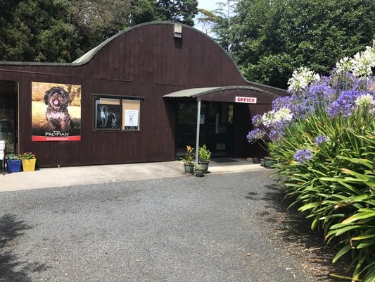 Southern Comfort Kennels Cattery Request A Quote Pet Sitting