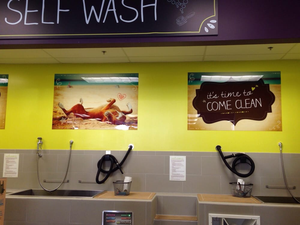 Self Serve Dog Wash Near Me PetsWall