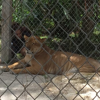 McCarthy’s Wildlife Sanctuary - 182 Photos & 70 Reviews - Zoos - 12943