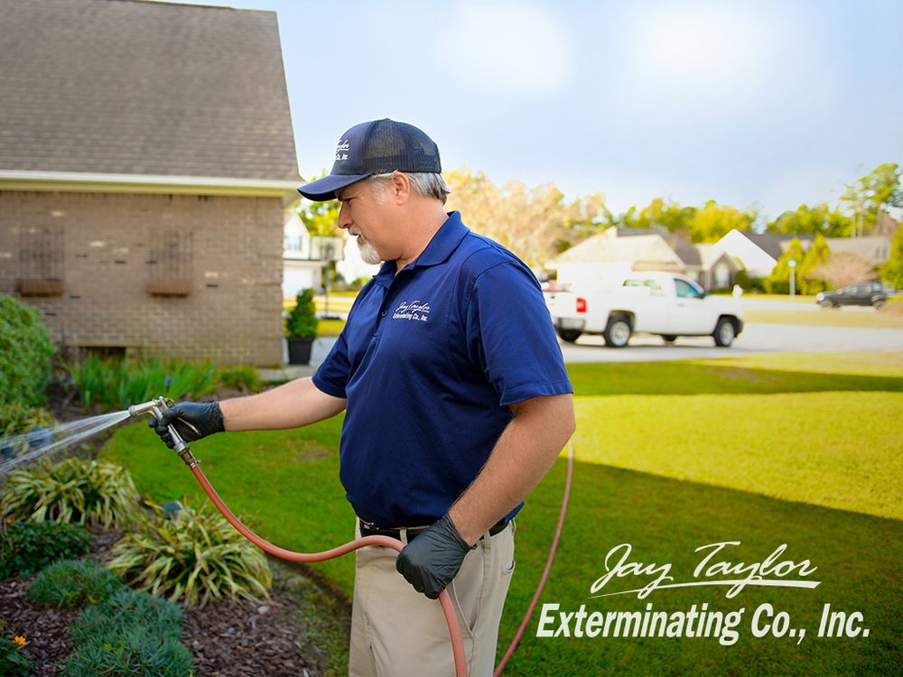 Jay Taylor Exterminating