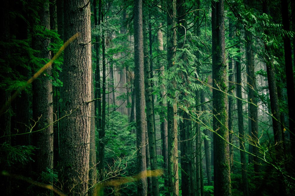 Bell Creek Nature School