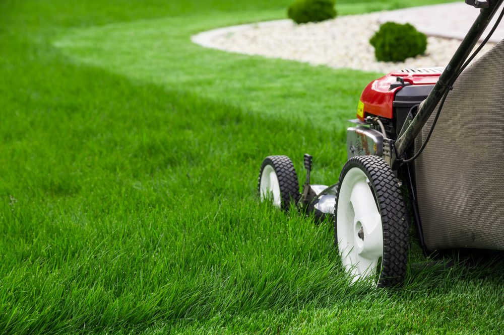 Patkin Landscaping