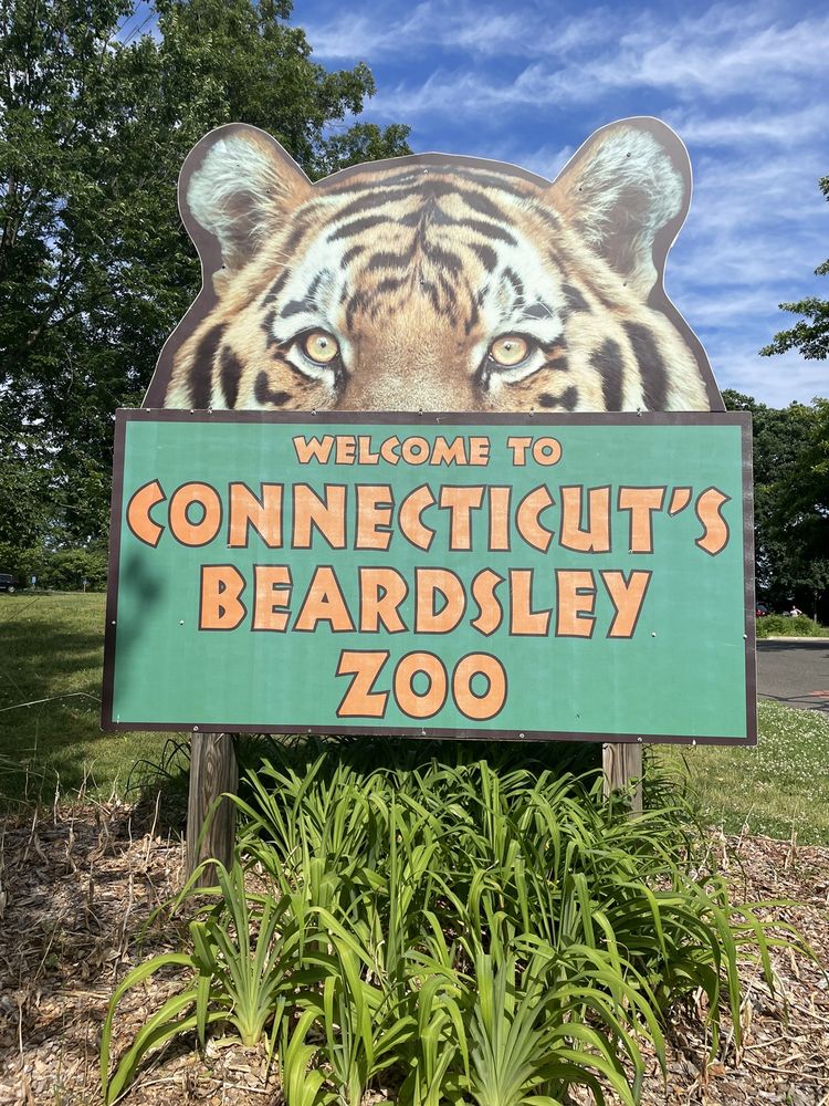 Connecticut's Beardsley Zoo