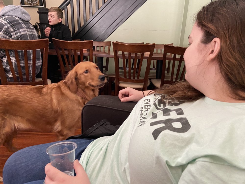 Willow Creek Brewing