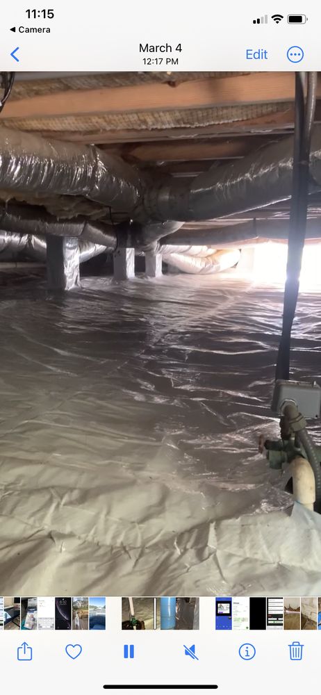 Hanner's Pest Control