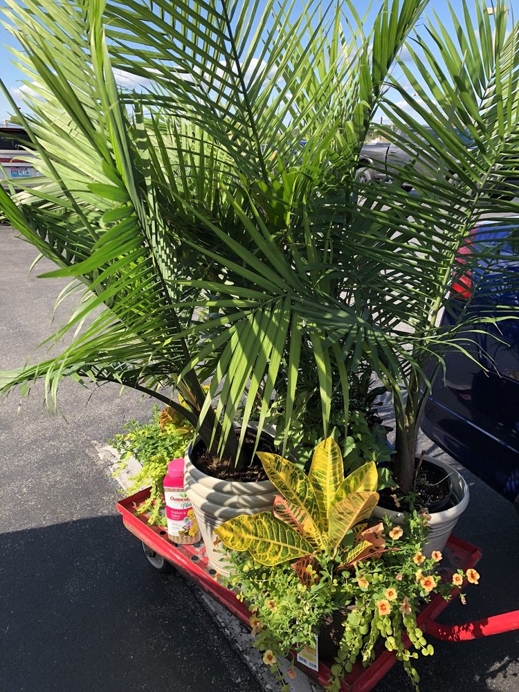 Lowe's Home Improvement