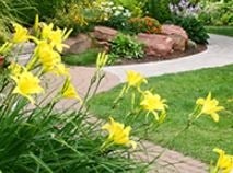 Lawn Wizard Landscaping
