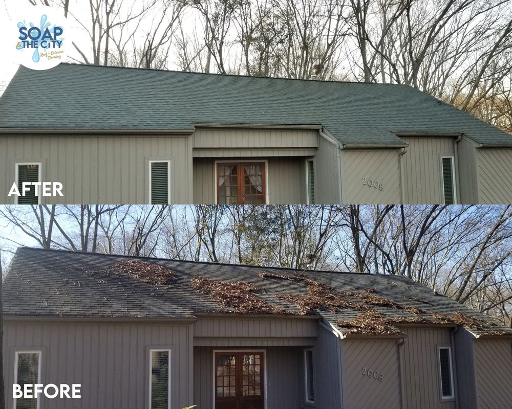 Soap & the City Roof & Exterior Cleaning