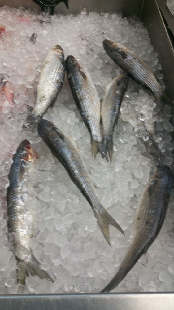 Johnny’s Fish Market 16 Photos Seafood Markets 2526 Peach Orchard