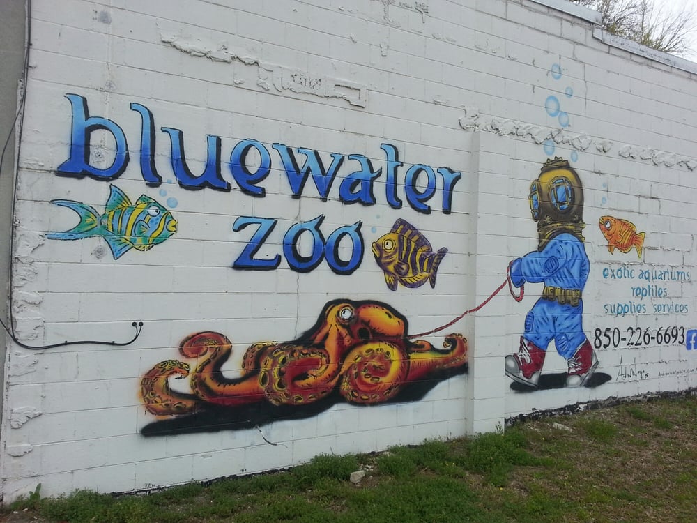 Bluewater Zoo Pet Stores 159 Miracle Strip Pkwy SE, Fort Walton