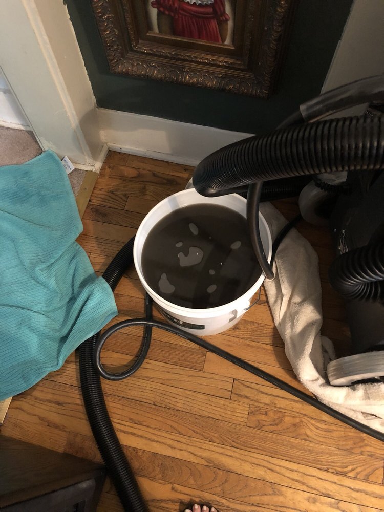Mint Carpet Care