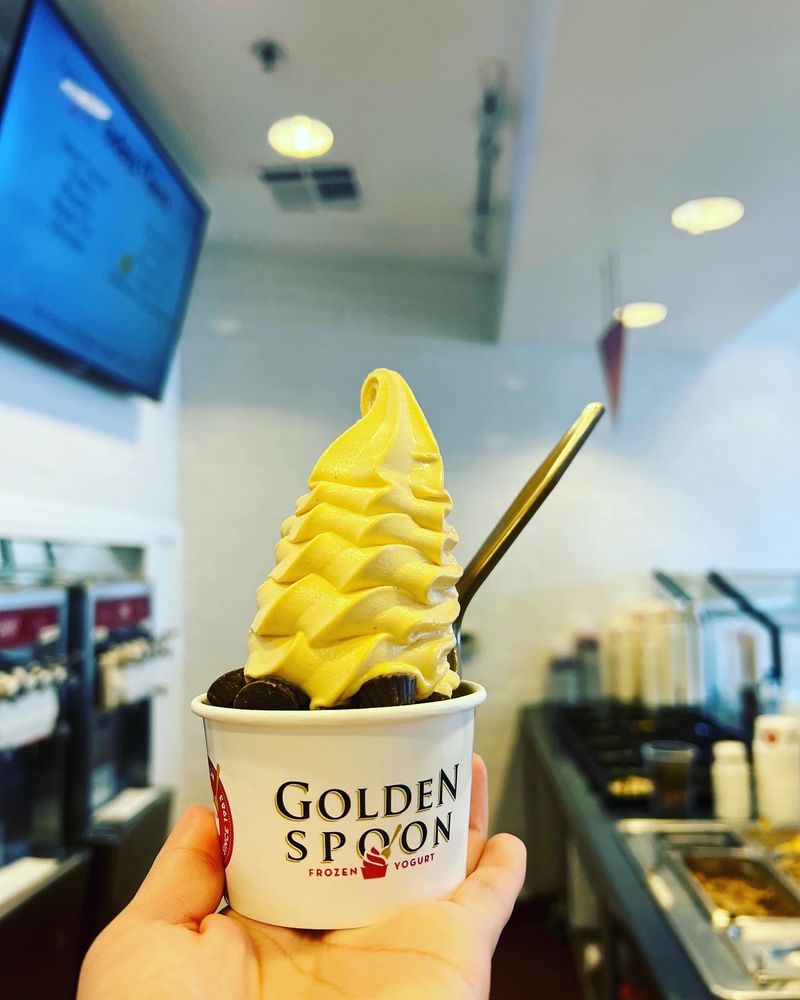 Golden Spoon Frozen Yogurt