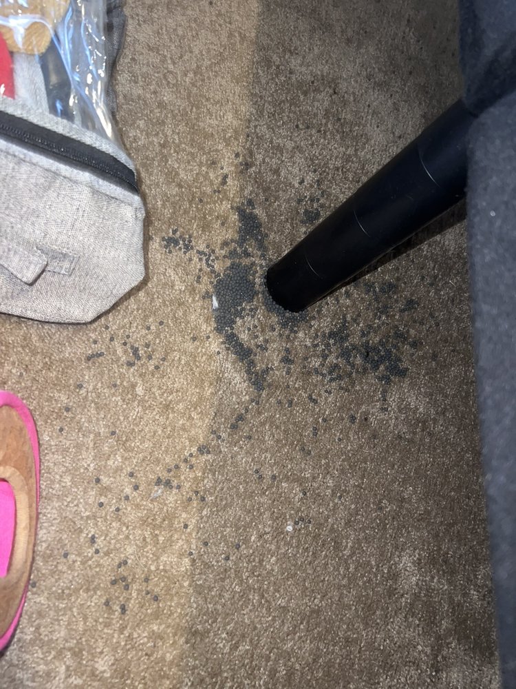 The District at Tar River